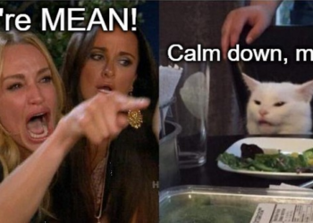 This Is Why Everyone Hides When the Woke Cousin Shows Up to Thanksgiving – Twitchy