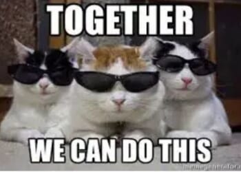 Weakest Mayor in America Conquers His Greatest Foe... Cat Dander – Twitchy