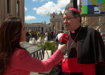 Holy Spirit chose Pope Francis to be ‘instrument of Christ,’ Cardinal Christophe Pierre says