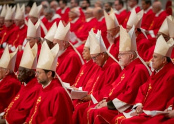 Adopt a cardinal: How Catholics can pray for the electors of the next pope