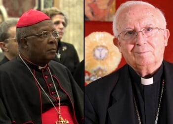 2 cardinal electors bow out: Papal conclave to elect Pope Francis’ successor moves forward with 133 voters