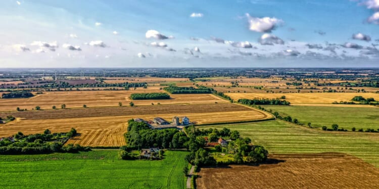 Judy Terry: Suffolk deserves unitary status