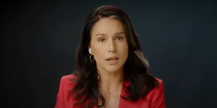 MSNBC host races to correct guest who calls Tulsi Gabbard ‘Russian agent’