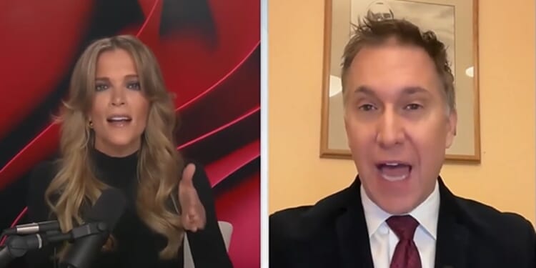 Megyn Kelly clashes with Democrat attorney on whether courts may ‘decide political questions’