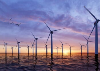 Nature Deserves Better Than Rushed Offshore Wind Projects - The American Spectator | USA News and PoliticsThe American Spectator