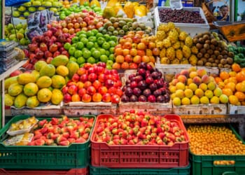 Peter Franklin: Abundance - the big idea from two American liberals that British Tories should make their own