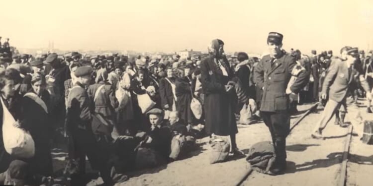 Poor Holocaust Education Leads to Misuse of ‘Genocide’ - The American Spectator | USA News and PoliticsThe American Spectator