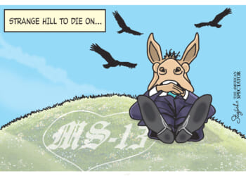 strange hill to die on by tom stiglich