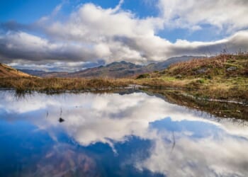 The beauty of God in creation and Christ