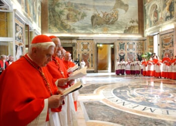 These are the cardinals from the U.S. and Canada participating in the conclave
