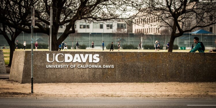 UC Davis Asks San Jose State For Advice On How To Bring Biological Male Onto Women’s Team