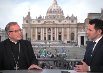 Bishop Robert Barron: Next pope should be ‘a believer in Jesus’ before anything else