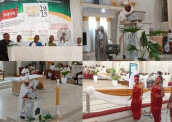 Catholic theologians in Nigeria pledge to uphold Pope Francis’ legacy with ‘renewed zeal’
