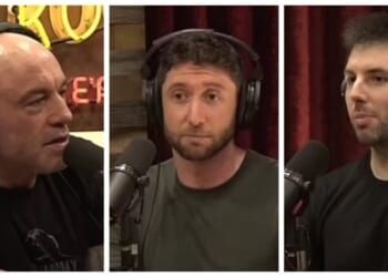 Joe Rogan is blown away at fascinating breakdown of how the world could collapse under AI
