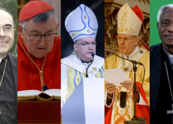 Meet the 5 cardinal electors with the most conclave experience