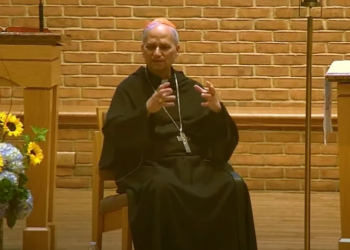 Pope Leo XIV on the Eucharistic congress, Pope Francis, and synodality 