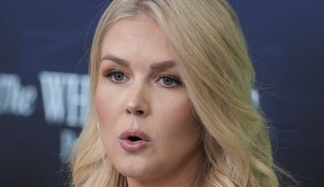 Trump Spox Karoline Leavitt Has a HARSH Reality Check for Lefty Mobs Obstructing Justice – Twitchy