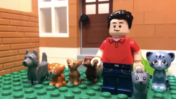 Brothers Louis, Iosaf, and Oliver Flynn, ages 16, 14, and 18, from Kilcornan in County Limerick, Ireland, have been making Lego movies since 2015 when they got their hands on an iPad mini. Credit: Photo courtesy of the Flynn family