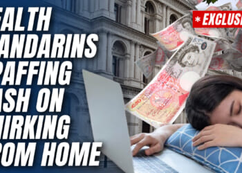Health Department Staff Spend £180,000 on Work From Home Gadgets – Guido Fawkes