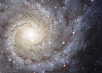 Pope Leo XIV speaks with astronomy students about ‘wonder’ of the universe