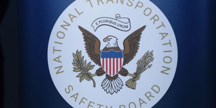 Fatal North Carolina plane crash caused by pilot's attempts to avoid turtle on runway, NTSB finds