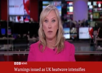 BBC Reporter Earns Viral Praise For Abruptly Pausing On-Air to Correct Term ‘Pregnant People’ – Faithwire