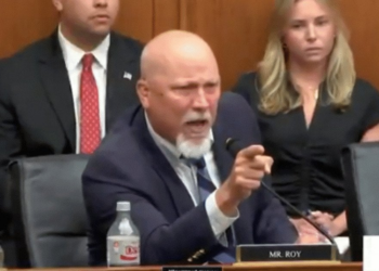 Chip Roy has no time for ‘beta’ boy and his ‘Libertarian clap trap’ in REALLY HEATED hearing exchange