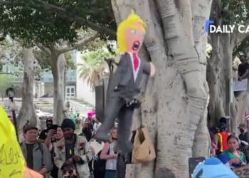 Liberals Force Young Children To Participate In Violent, Vulgar Anti-Trump Protests