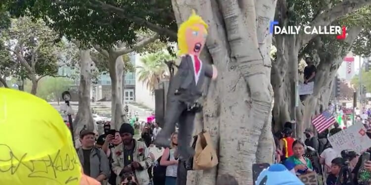 Liberals Force Young Children To Participate In Violent, Vulgar Anti-Trump Protests