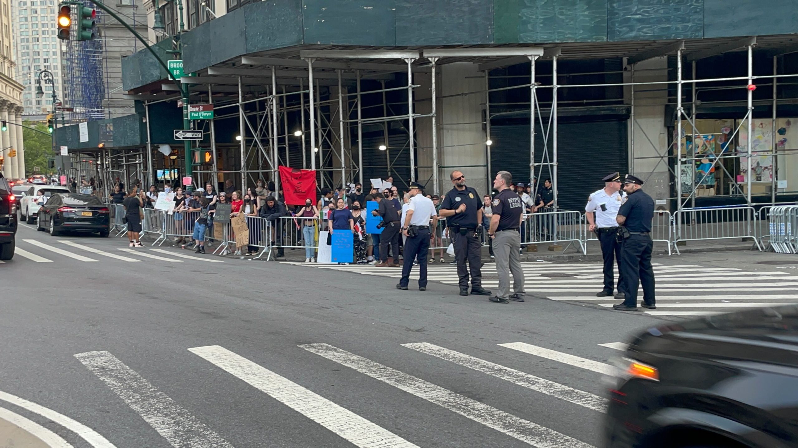 Anti-ICE protesters gather at New York's Federal Plaza 6/12/25. Daily Caller/Robert McGreevy