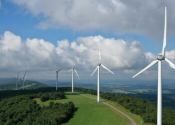 Senate Republicans Lobbying For Green Energy Tax Credits Raked In Donations From Industry