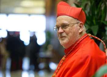 Swedish cardinal reflects on conclave, says he’s ‘grateful’ for Pope Leo XIV