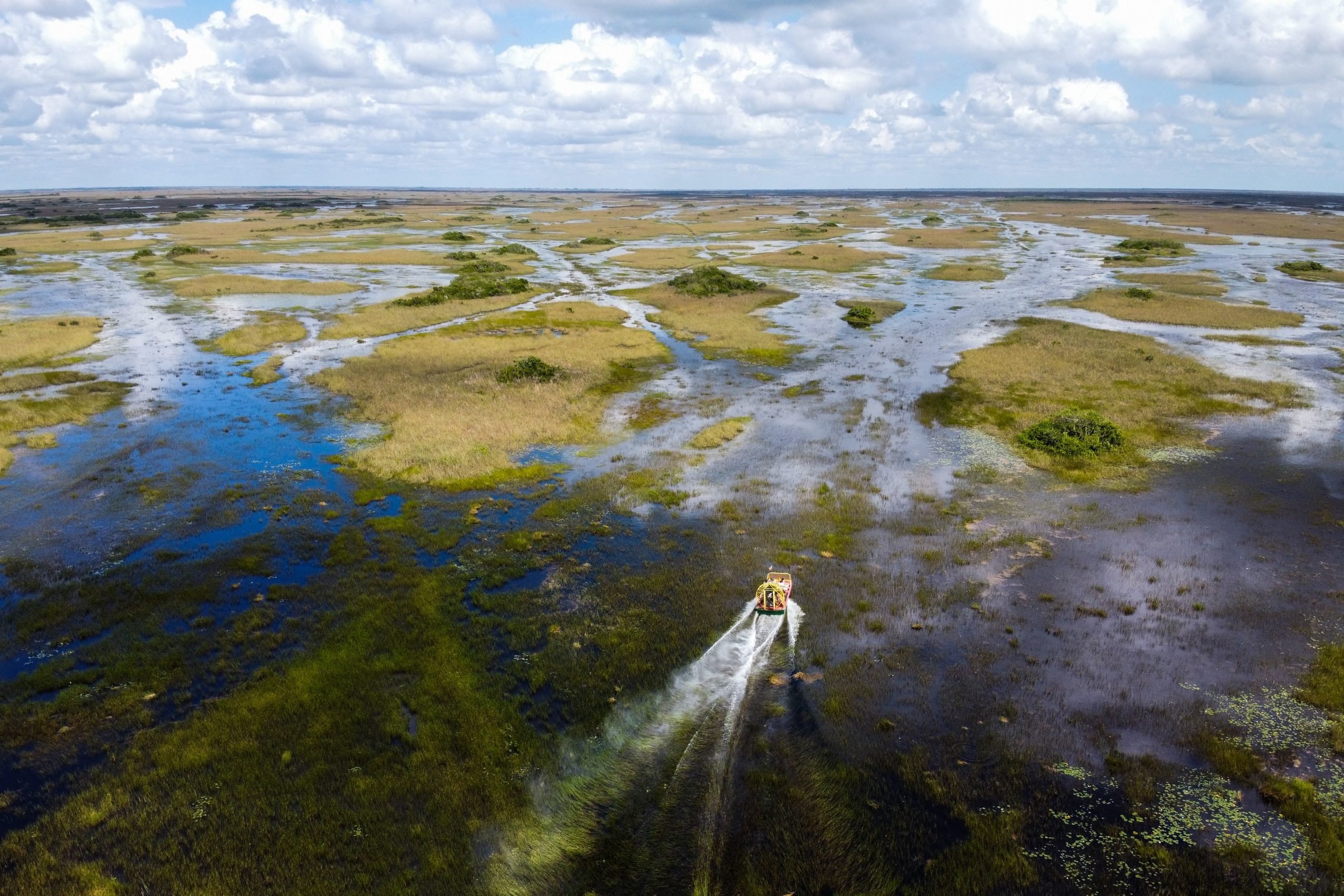 TOPSHOT-US-UN-EVERGLADES-CLIMATE-COP26