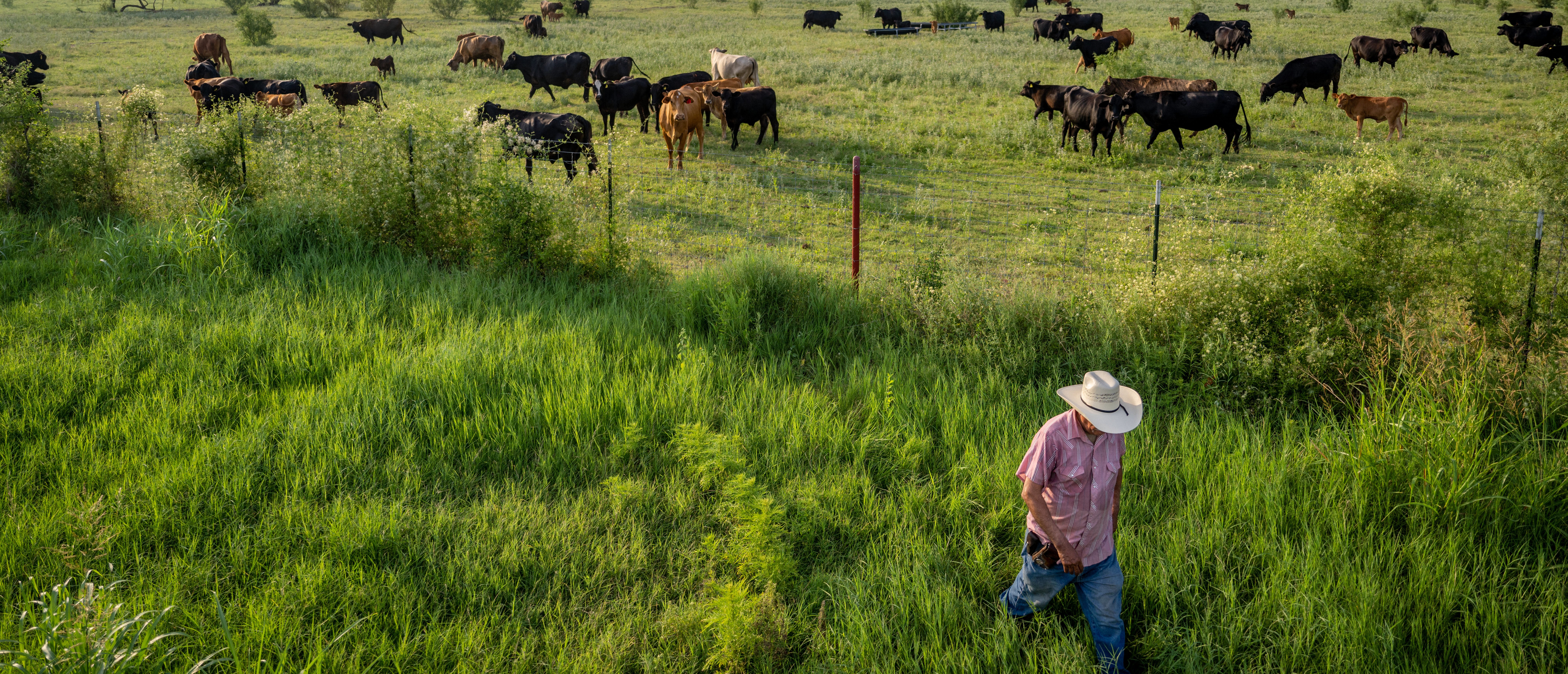 Farmer Jose Esquivel begins to leave after surveying his field of cattle on June 13, 2023 in Quemado, Texas. (Photo by Brandon Bell via Getty Images)