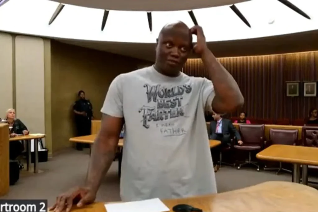 No-Nonsense Judge Brutally Scolds Man for Wearing Inappropriate Shirt in Courtroom: 'I Can See What it Says'