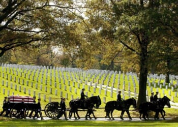 Army canceling ceremonial horse units, also shutting down some military museums