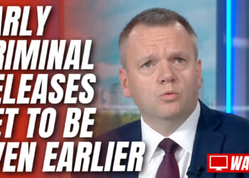 Thomas-Symonds Defends Criminals Serving 20% of Their Sentences – Guido Fawkes
