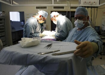 HHS investigation exposes ‘horrifying’ ethical failures in organ transplant system