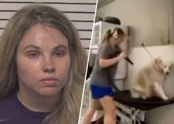 North Carolina Dog Groomer Arrested for Felony Animal Abuse After Video Shows Alleged Beatings [WATCH]