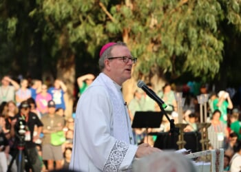 Bishop Robert Barron to address U.S. pilgrims in Rome during Jubilee of Youth