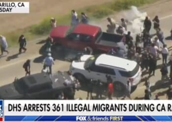 California professor arrested for allegedly throwing tear gas at ICE agents