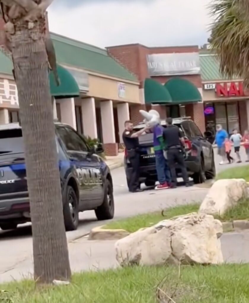 Big House for the Mouse: Chuck E. Cheese Mascot Shamelessly Arrested at Florida Restaurant for Credit Card Fraud [WATCH]