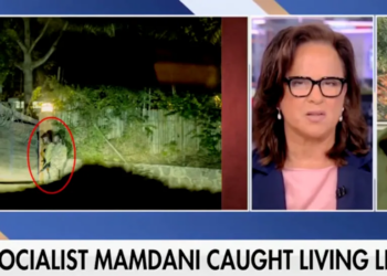 Daily Caller Senior Editor Explains Why Mamdani’s Core Voters ‘Don’t Get’ What Socialism Really Does