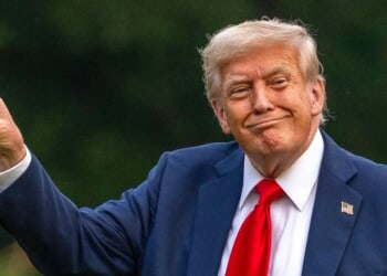 Liberals Strain Themselves Trying To Rip Page From Trump’s Playbook