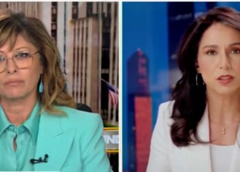 More Whistleblowers Want To Speak Out On Anti-Trump Plot That Began Under Obama, Tulsi Gabbard Says