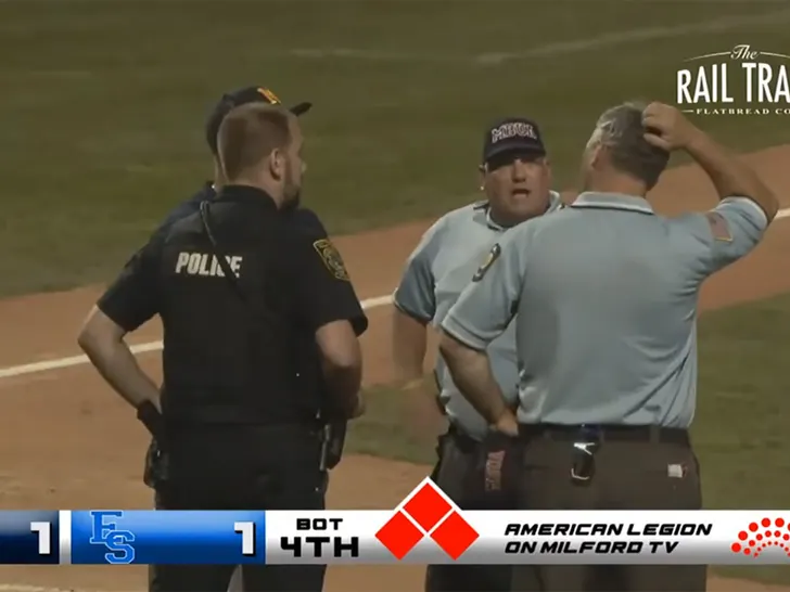 Cops Investigate Insane Brawl That Broke Out Between Players and Fans at Youth Baseball Game in Massachus-nuts [WATCH]