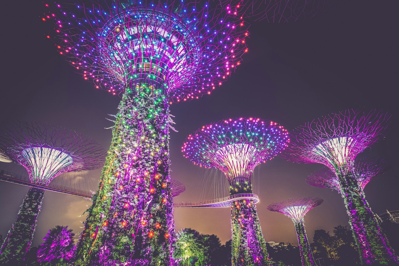 Rafe Fletcher: We should learn from Singapore how to treat our country like an asset