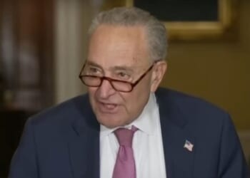 Schumer falsely says GOP's IDs mean that 'probably half the people in America couldn't vote'