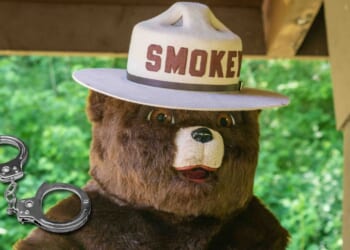 Smokey the Bear Helps Nab Thief Selling Stolen Forest Signs on Facebook Marketplace