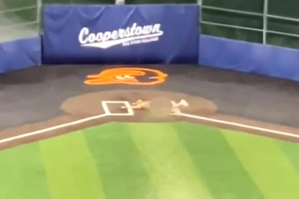 Youth Baseball Coaches Fired After Horrific Streaking Incident in Front of Kids at Upstate NY Tournament [WATCH]